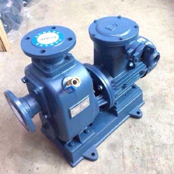 BZ直联式自吸清水泵